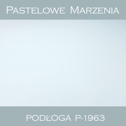 Tło fotograficzne winylowe, inne p_1963