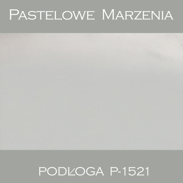 Vinyl photographic background, snow p_1521
