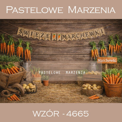 Tło fotograficzne wiosenne z marchewkami t_4665