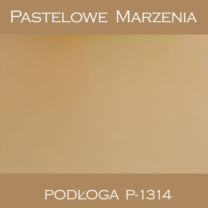 Photographic vinyl backdrop, other p_1314