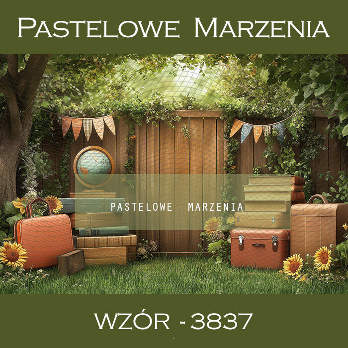 Tło fotograficzne szkolne z bramą t_3837