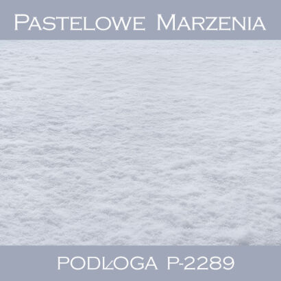 Vinyl photographic backdrop, snow p_2289