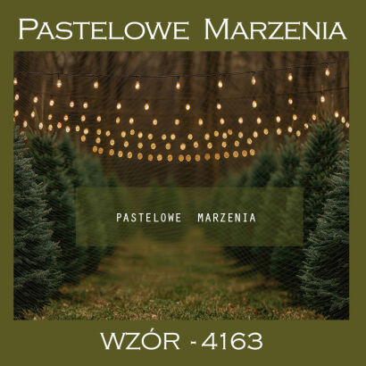 Tło fotograficzne na Boże Narodzenie z choinkami t_4163
