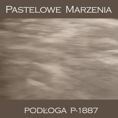 Vinyl photographic background, other p_1887