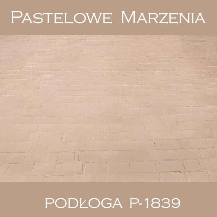 Tło fotograficzne winylowe, chodnik p_1839