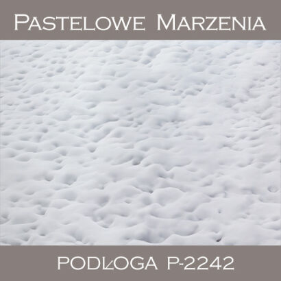 Tło fotograficzne winylowe, śnieg p_2243