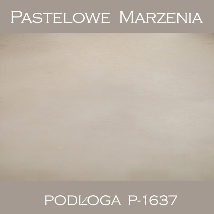 Vinyl photographic background, other p_1637