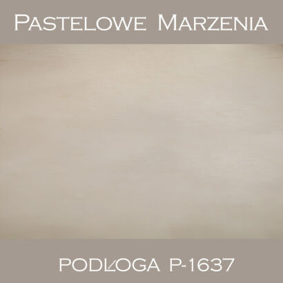Vinyl photographic background, other p_1637