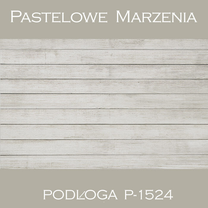 Vinyl photographic background, boards p_1524