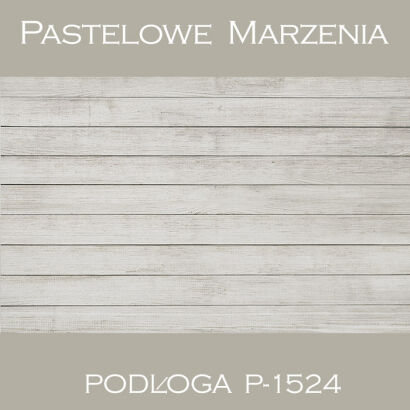Vinyl photographic background, boards p_1524