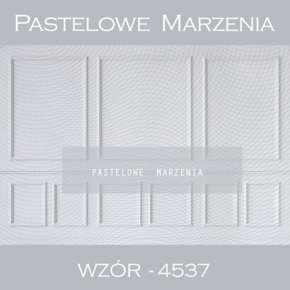 Tło fotograficzne z kategori ściany w kolorze białym t_4537