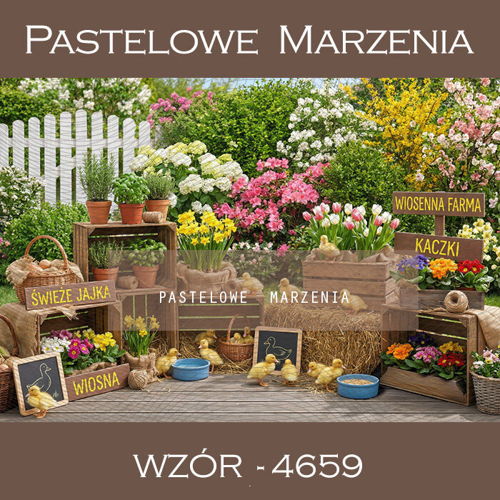 Tło fotograficzne wiosenne z kaczkami t_4659