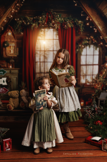 Christmas Photography Background with Window t_4269 - 3