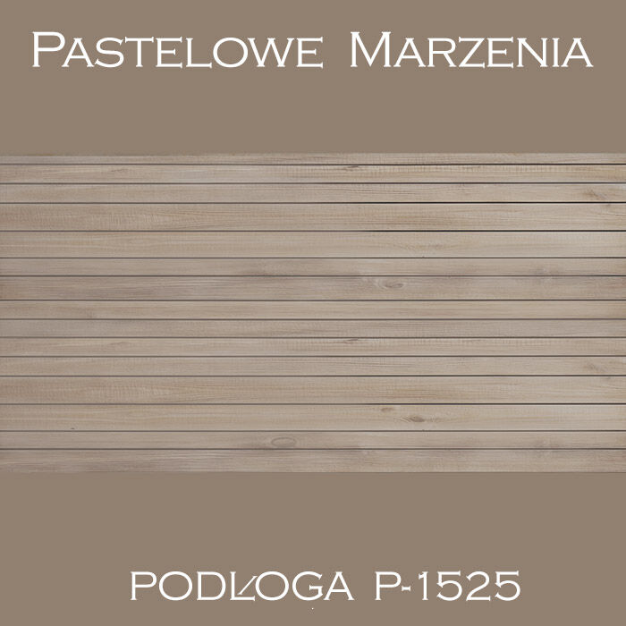 Vinyl photographic background, boards p_1525