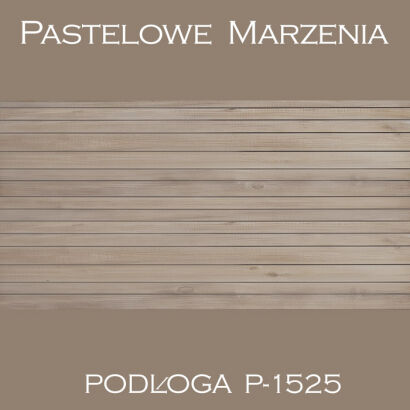 Vinyl photographic background, boards p_1525