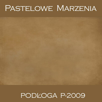 Tło fotograficzne winylowe, cieniowane p_2009