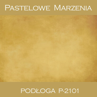 Vinyl photographic background, other p_2101