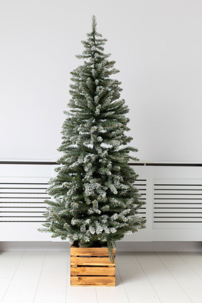 Snow-covered Christmas tree with a box 180 cm