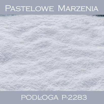 Tło fotograficzne winylowe, śnieg p_2283