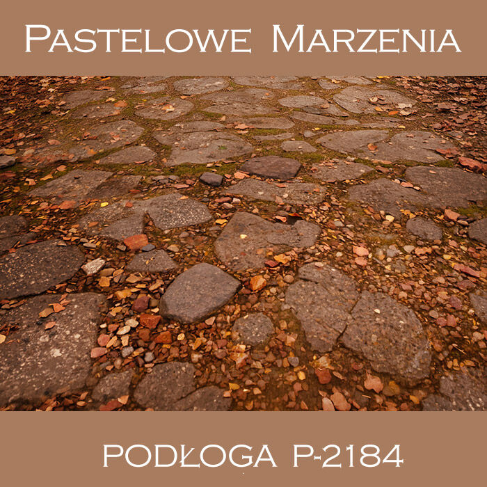 Vinyl photographic background, pavement p_2184