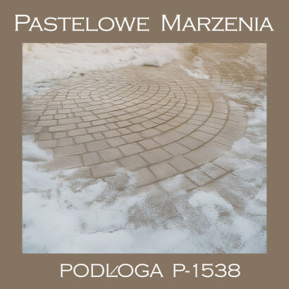 Tło fotograficzne winylowe, śnieg p_1538