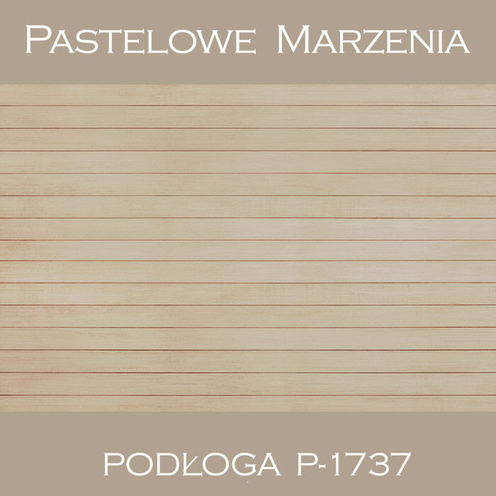 Vinyl photographic background, boards p_1737