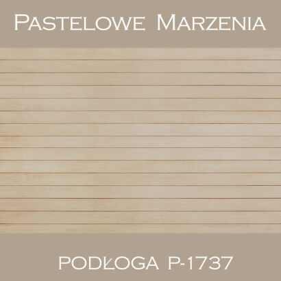 Vinyl photographic background, boards p_1737
