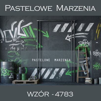 Tło fotograficzne szkolne z graffitti t_4783
