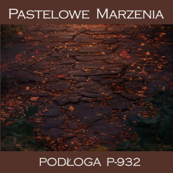 Photographic vinyl backdrop, pavement p_932