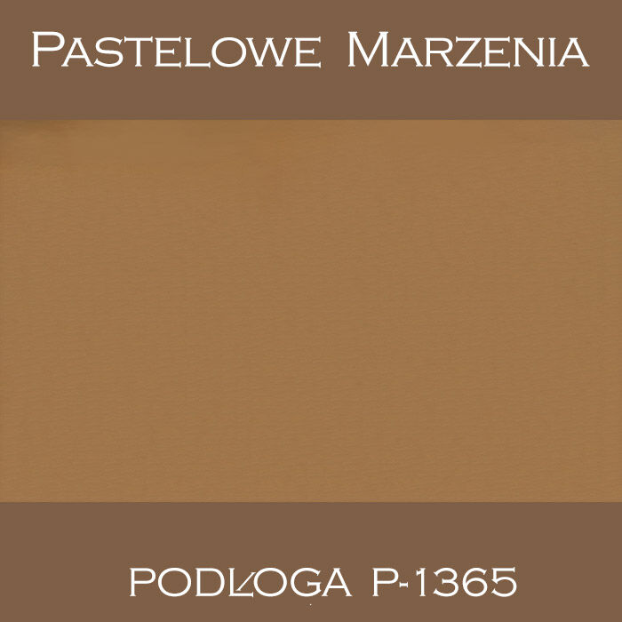 Tło fotograficzne winylowe, inne p_1365