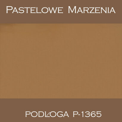 Tło fotograficzne winylowe, inne p_1365