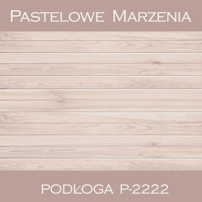 Vinyl photographic background, boards p_2222