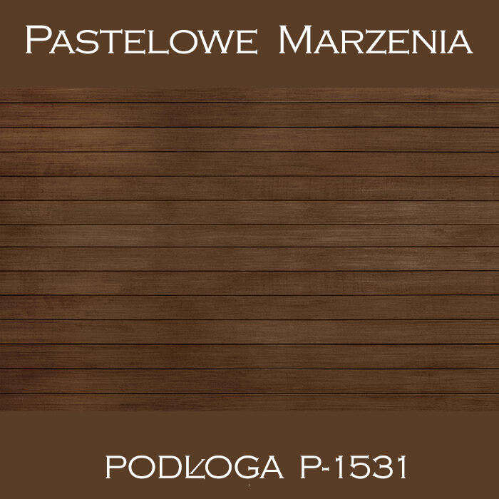 Vinyl photographic background, boards p_1531