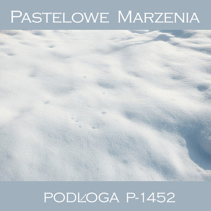 Photographic vinyl backdrop, snow p_1452