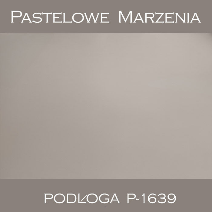 Vinyl photographic background, other p_1639