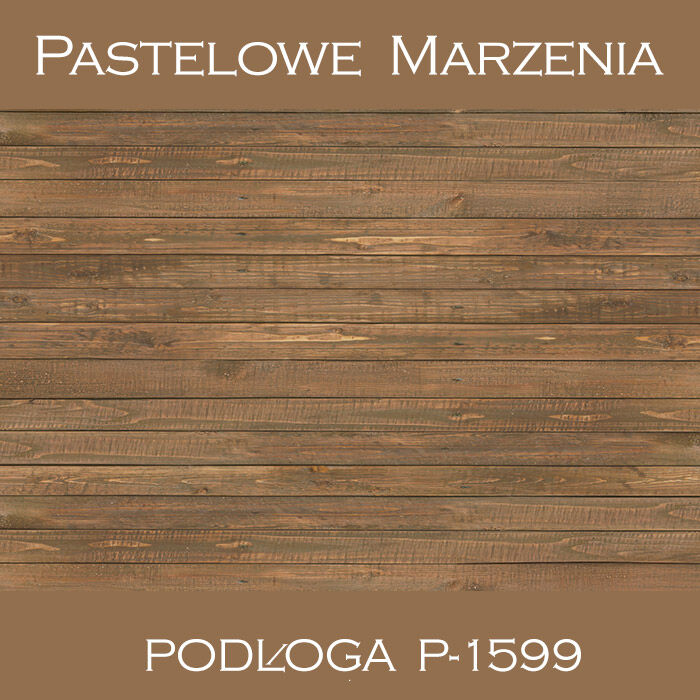 Vinyl photographic background, boards p_1599