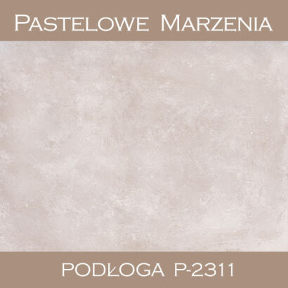 Vinyl photographic background, concrete p_2311