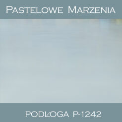 Tło fotograficzne winylowe, inne p_1242
