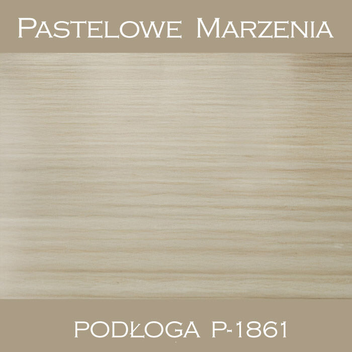 Vinyl photographic background, boards p_1861