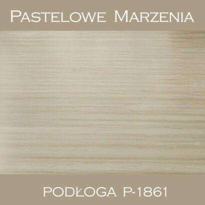 Vinyl photographic background, boards p_1861