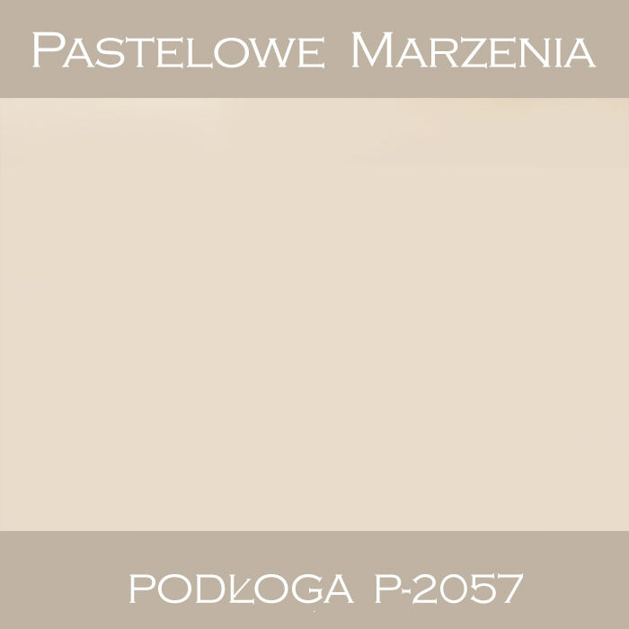 Vinyl photographic background, solid p_2057