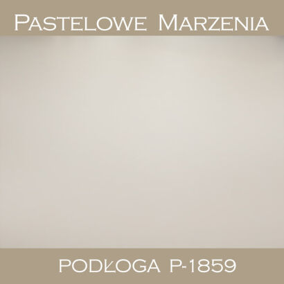 Vinyl photographic background, other p_1859