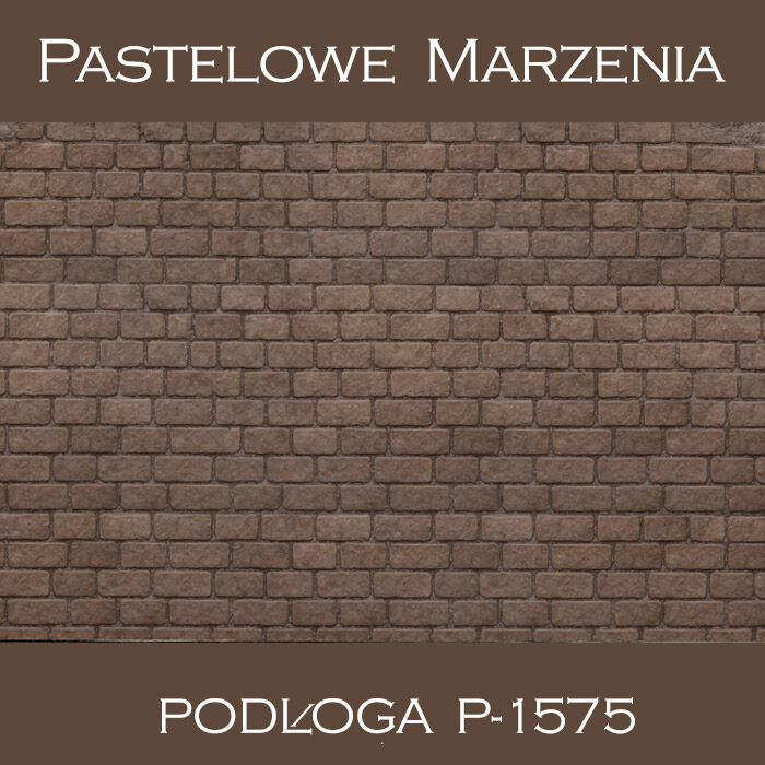 Tło fotograficzne winylowe, chodnik p_1575