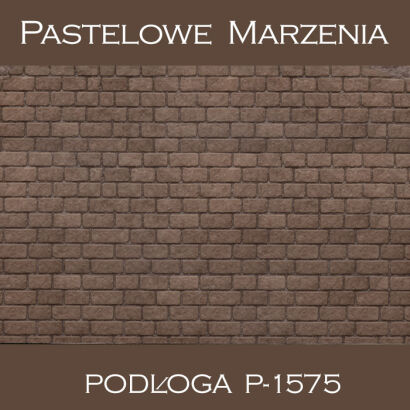Tło fotograficzne winylowe, chodnik p_1575