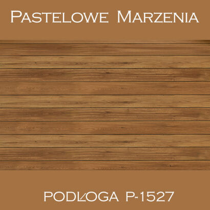 Vinyl photographic background, boards p_1527