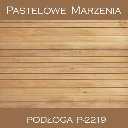 Vinyl photographic background, boards p_2219