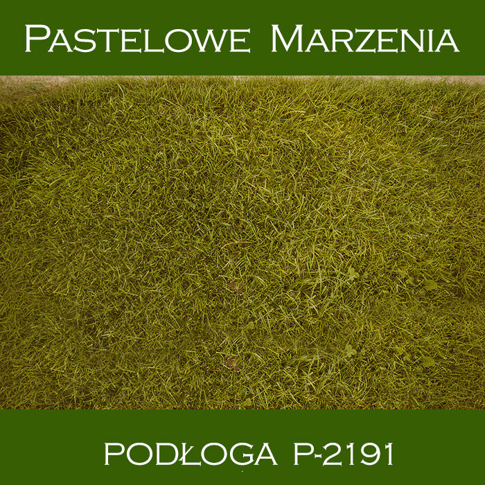 Vinyl photographic background, grass p_2191