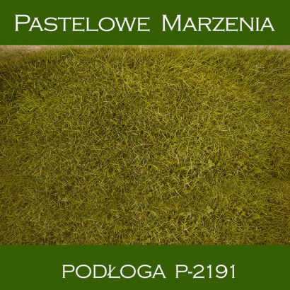 Vinyl photographic background, grass p_2191