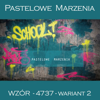 School photographic background with graffiti t_4737 - 2