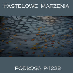 Photographic vinyl backdrop, pavement p_1223